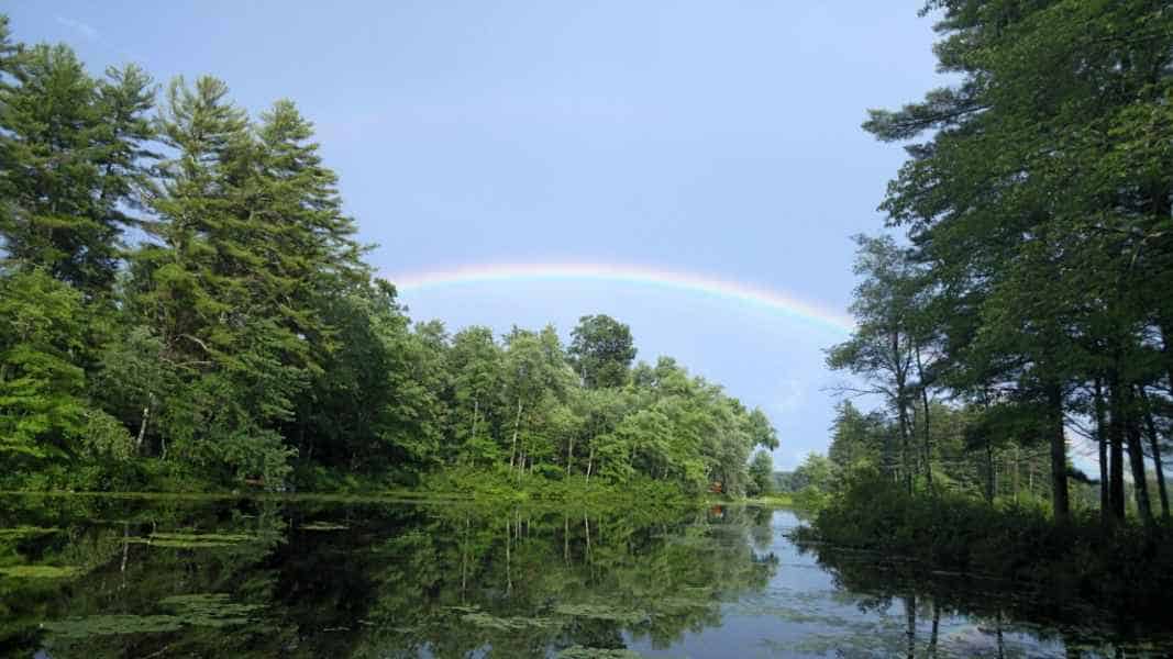 Rainbow Above Trees Near Lake in Barrington, New Hampshire