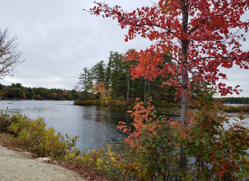 Fall Foliage in Barrington, New Hampshire