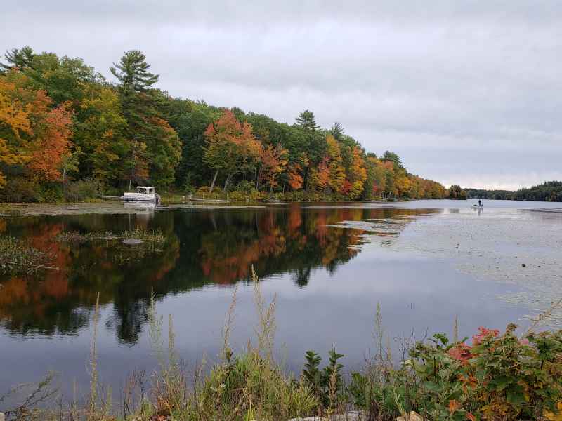 Fall Foliage in Barrington, New Hampshire