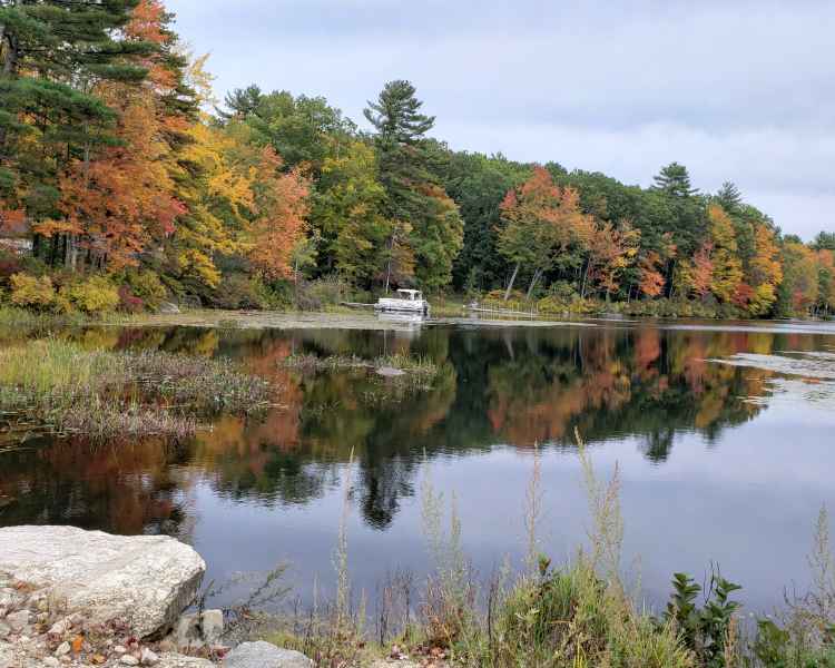 Fall Foliage in Barrington, New Hampshire