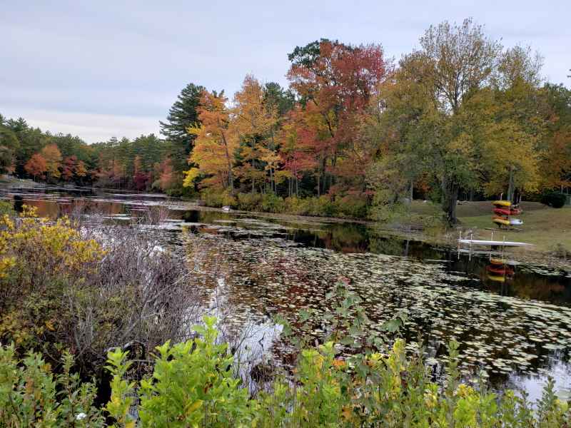 Fall Foliage in Barrington, New Hampshire