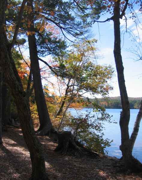 Fall Foliage in New Hampshire in October 2006