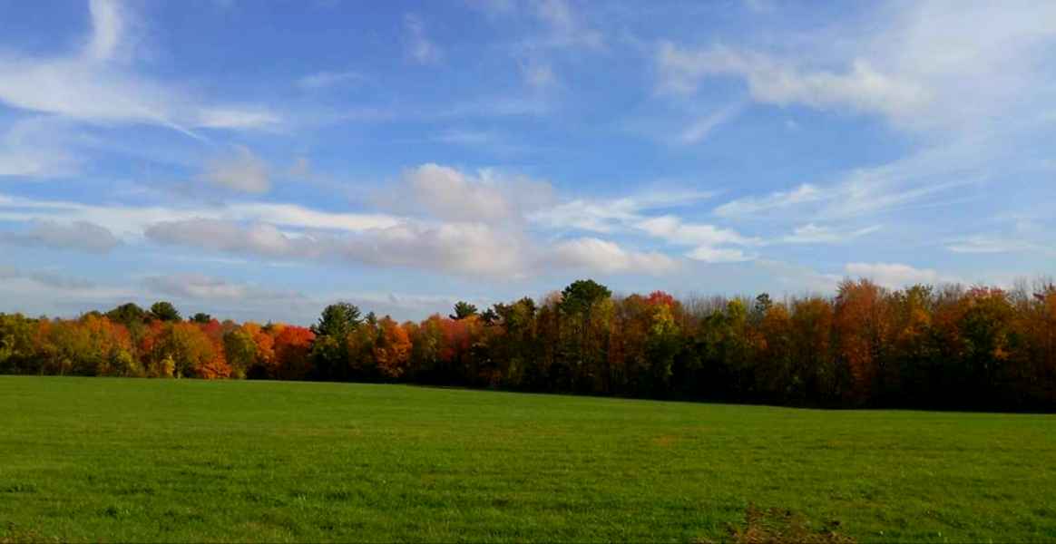 Fall Foliage in New Hampshire from Lisa Hoffman