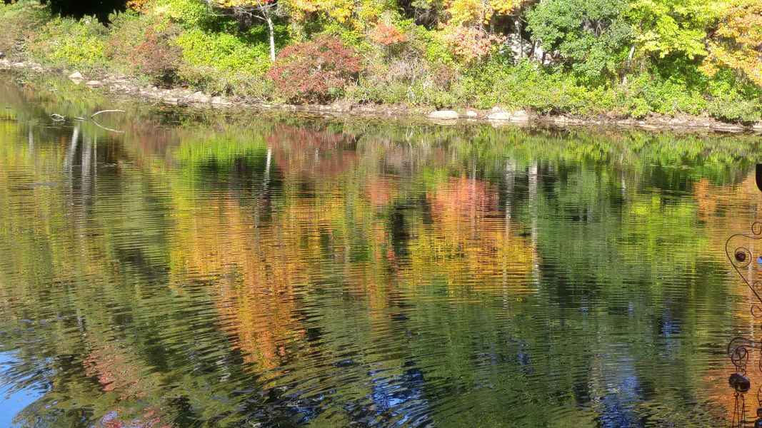 Fall Foliage at the Lake in Barrington from Lisa Hoffman