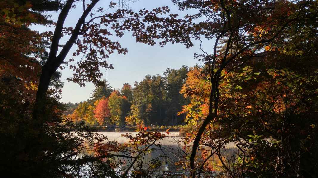 Fall Foliage at the Lake in Barrington from Lisa Hoffman