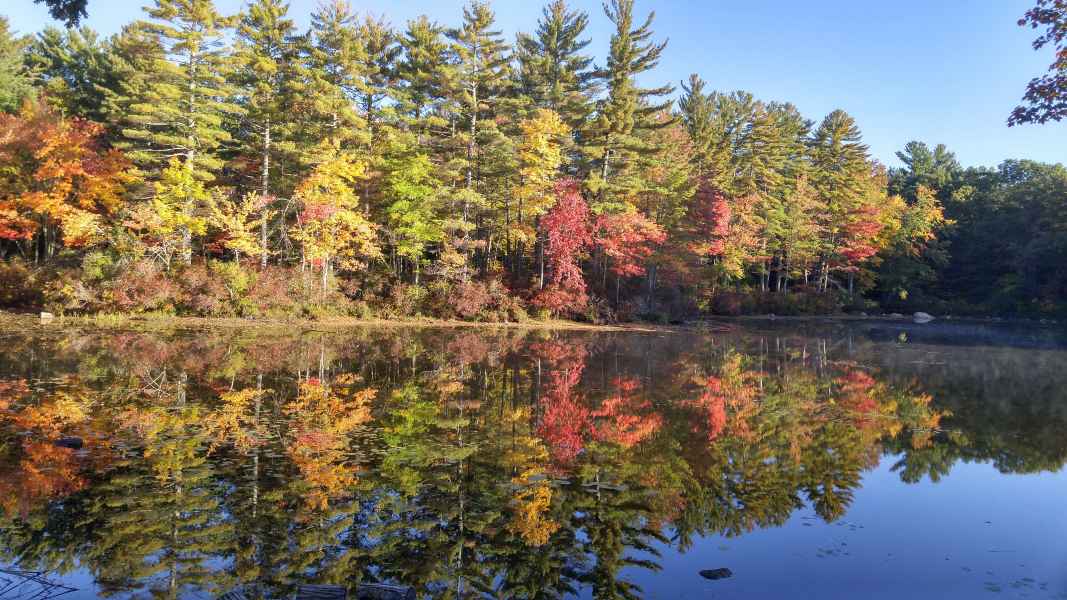 Fall Foliage at the Lake in Barrington from Lisa Hoffman