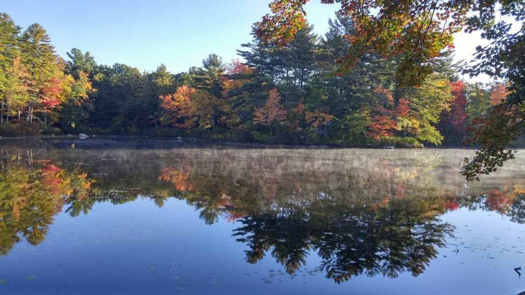 Fall Foliage at the Lake in Barrington from Lisa Hoffman