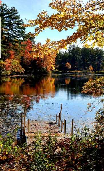 Fall Foliage at The Lake in Barrington from Lisa Hoffman