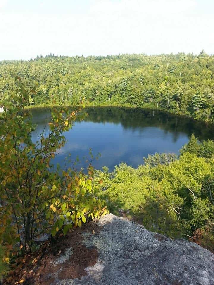 Loon Protection Challenges in Southern NH - Stonehouse Pond #1