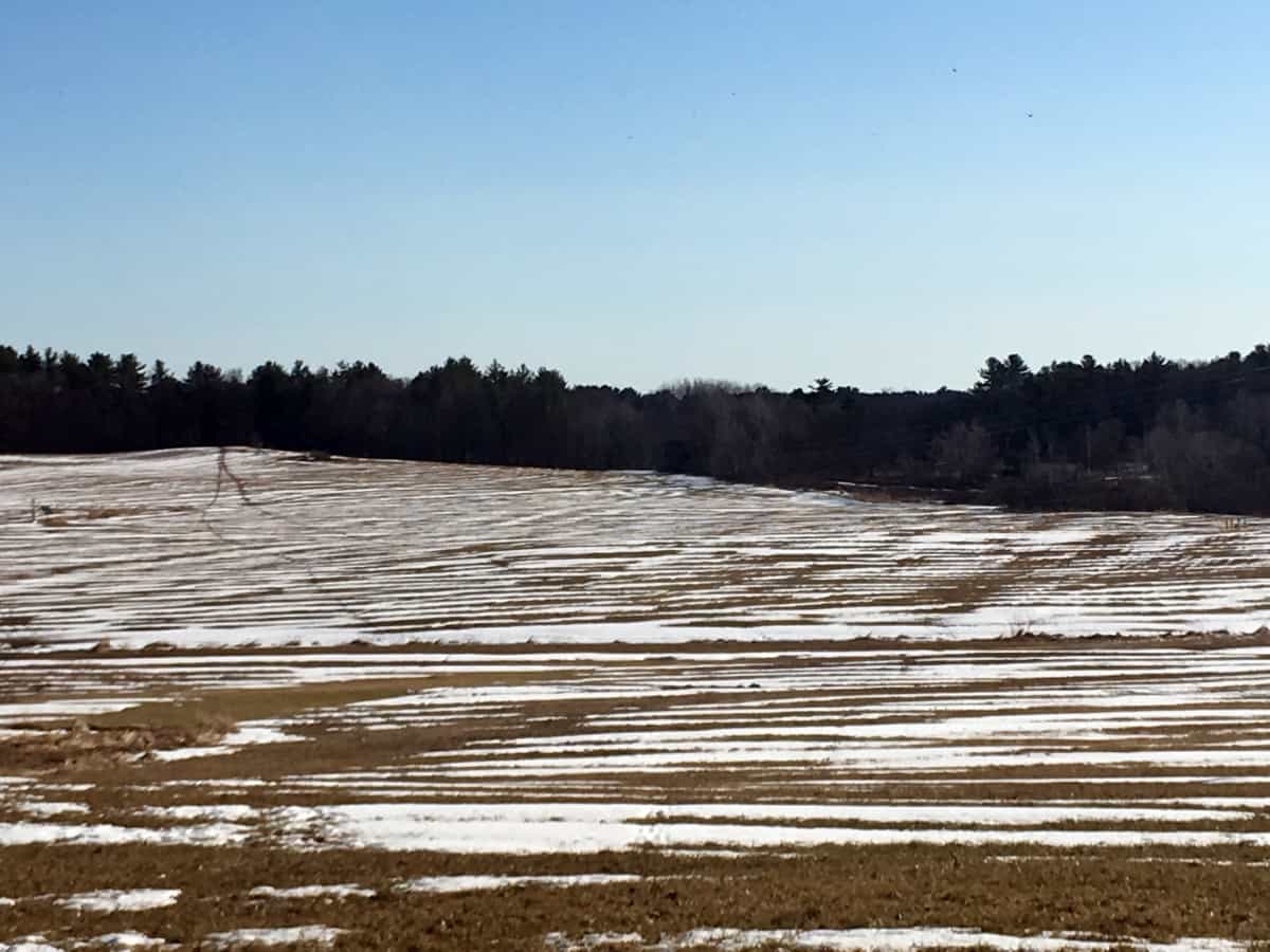 Hayfield at Kingman Farm with melting snow. Credit: Rebecca Sanders-DeMott/UNH